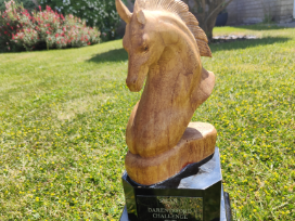 The wooden horse head trophy stands on a neat lawn. The horses left ear is chipped. It stands on a black plinth with a silver engraving which reads, Swan V Darenteford Challenge.