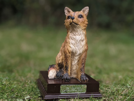 Phylis the Fox, the trophy for the Fox versus Darenteford annual challenge.