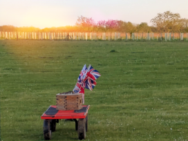 The flag box at sunset