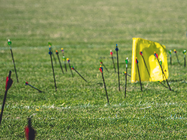 Arrows landed near a flag at a clout competition